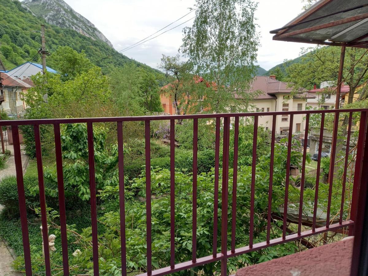 Hotel Elite Бэиле-Еркулане Экстерьер фото